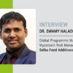 Should we worry about mycotoxins in dairy cows?