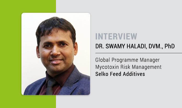 Should we worry about mycotoxins in dairy cows?