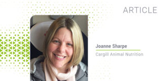 Taking a holistic approach to reducing methane emissions in agriculture