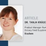 How to support the energy metabolism of dairy cows during periods of low feed intake and heat stress