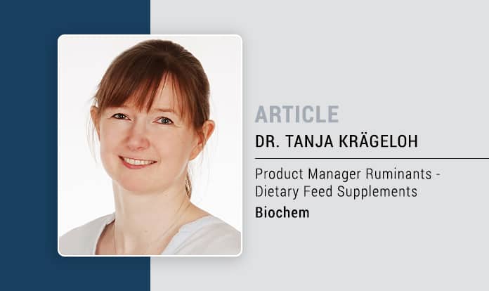 How to support the energy metabolism of dairy cows during periods of low feed intake and heat stress