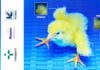 Targan and Pondex bring automatic chick sexing technology to Spain