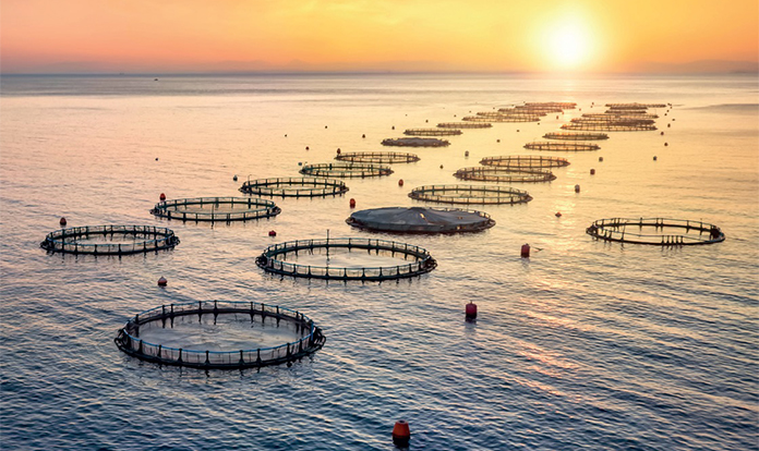 Techna to unveil its latest innovations for livestock at EuroTier 2024