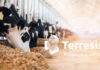 Terresis launched as unified identity