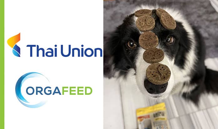Thai Union invests in insect-based pet treats