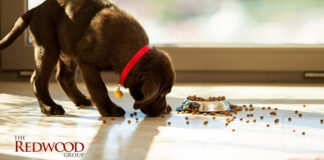 The Redwood expands its processing and procurement capabilities