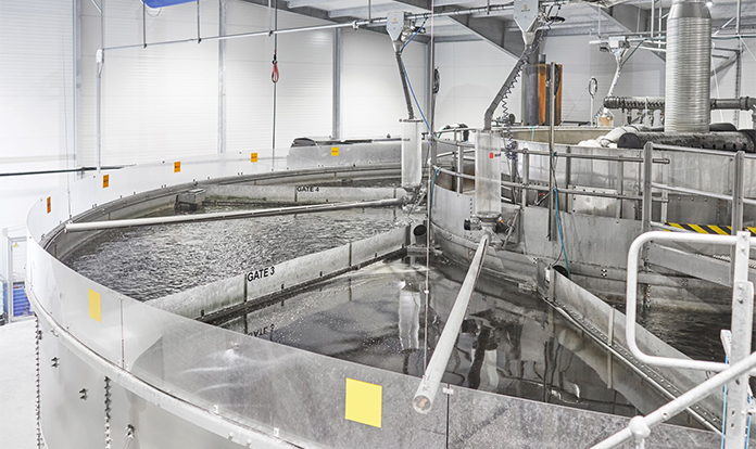 The aquaculture industry is set for major growth with leaders’ partnership