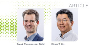 The importance of preventing Salmonella in laying hens