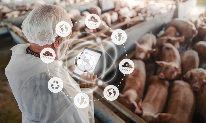 The role Impextraco® takes to support its customers in a sustainable animal production