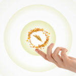 Trouw Nutrition launches online environmental footprint service MyFeedPrint