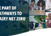Trouw Nutrition to chair Animal Nutrition Workstream for dairy net zero