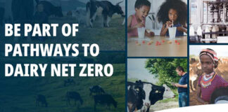 Trouw Nutrition to chair Animal Nutrition Workstream for dairy net zero
