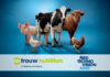 Trouw Nutrition to gather feed industry leaders in Guatemala