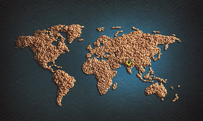 Trouw Nutrition sẽ đăng cai tổ chức FeedTechnoVision 2026 tại Ấn Độ.