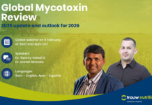 Trouw Nutrition to share 2025 mycotoxin insights in February