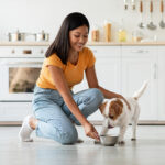 New studies evaluate digestion of isomaltulose in dogs