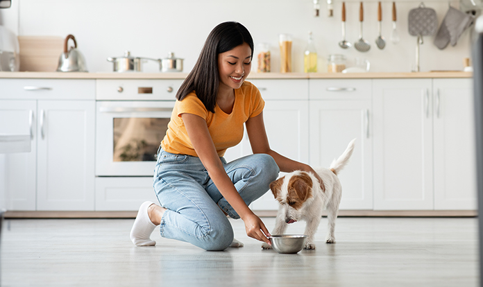 New studies evaluate digestion of isomaltulose in dogs