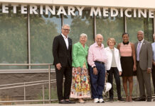 UC Davis receives largest-ever $120M gift to veterinary medicine