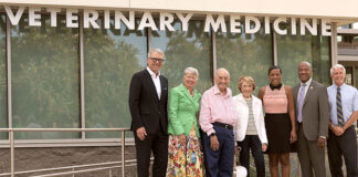 UC Davis receives largest-ever $120M gift to veterinary medicine