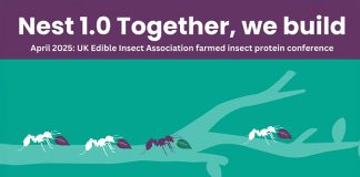 UK sees growing interest in insect protein sector