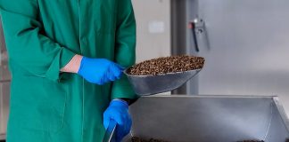 UKEIA calls for action on UK’s insect protein regulations