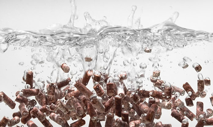 Unibio secures Saudi approval for its microbial SCP