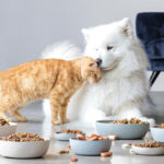 United Petfood acquires Dutch company De Haan Petfood