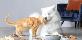 United Petfood acquires Dutch company De Haan Petfood