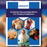 Updated USPOULTRY report shows progress in antibiotic stewardship