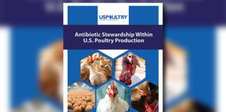 Updated USPOULTRY report shows progress in antibiotic stewardship