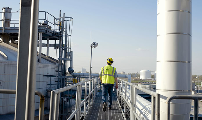 Veramaris increases Omega-3 EPA & DHA production