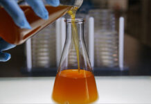 Veramaris reports 2024 sustainability progress amid production increase