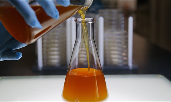 Veramaris reports 2024 sustainability progress amid production increase