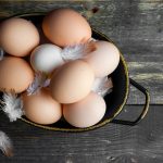 Vilofoss unveils new feed supplement for poultry industry