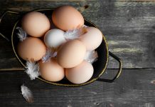 Vilofoss unveils new feed supplement for poultry industry