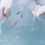 Virbac opens its first R&D Center dedicated to warm water aquaculture