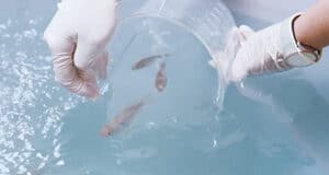 Virbac opens its first R&D Center dedicated to warm water aquaculture