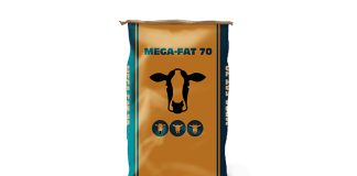 Volac and Wilmar joint venture launches new product for dairy cows
