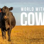 What would happen if all cows were suddenly gone?