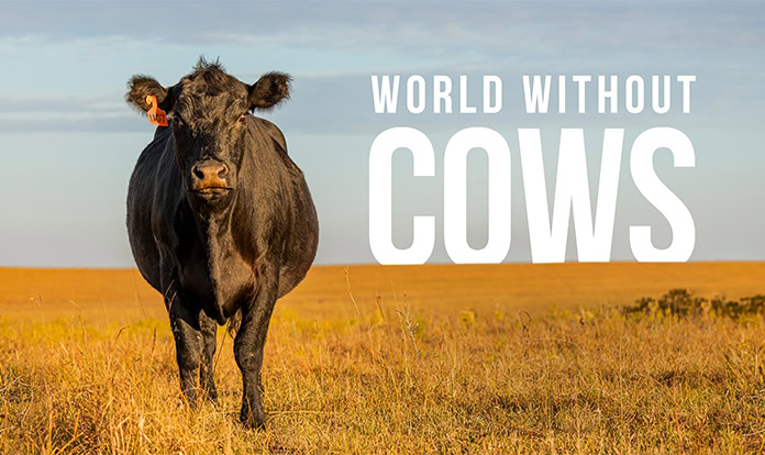 What would happen if all cows were suddenly gone?