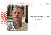 Why education is key to promoting insects as food and feed