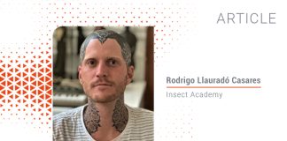 Why education is key to promoting insects as food and feed