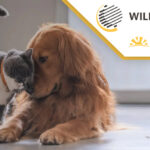 Wilbur-Ellis Nutrition to acquire F.L. Emmert