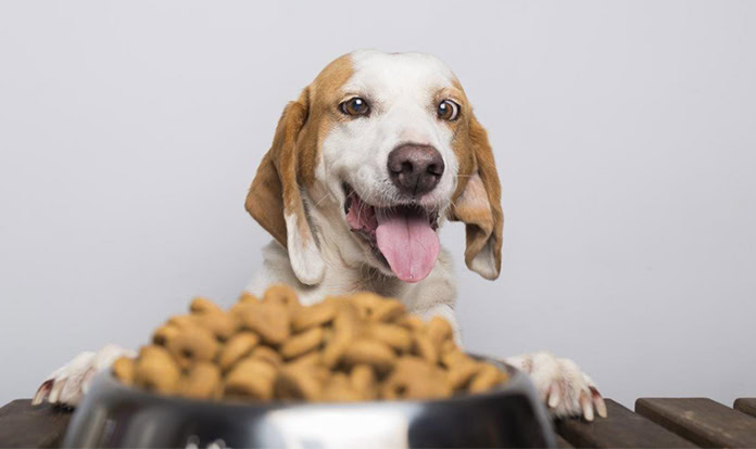Wilbur-Ellis and Bond join forces for sustainable pet food ingredients