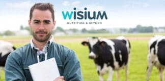 Wisium Premixes and Services Now Available in Eastern Canada