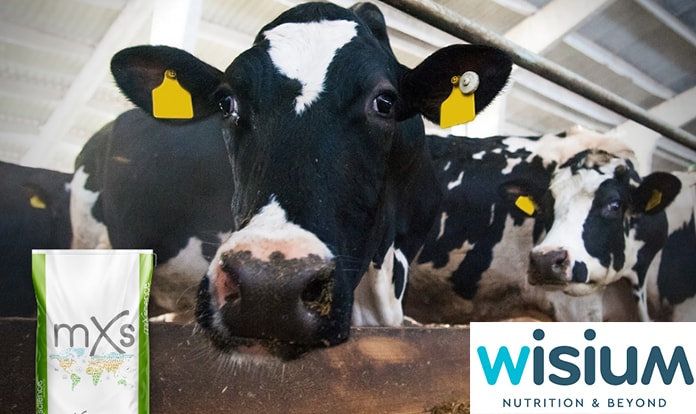 Wisium extends Polish footprint through ADM’s Premix acquisition 