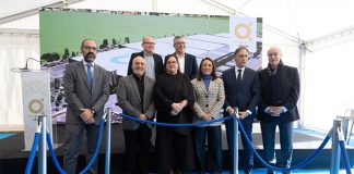 World's largest insect farm to be built in Spain