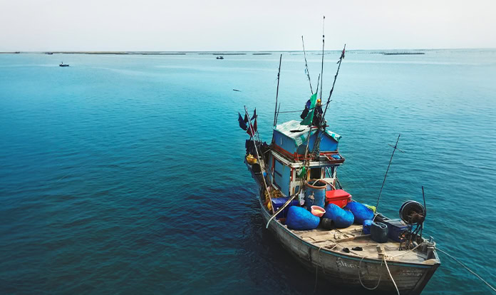 World's reduced fishmeal production offsets by Peru's supply