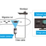 Yanmar announces automated fish counting system