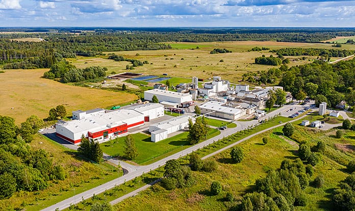 Yeast grown from spruce trees!